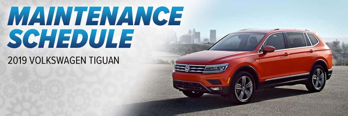 Volkswagen Tiguan Maintenance Schedule | Balise Volkswagen