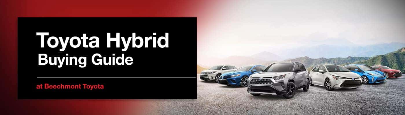 Toyota Hybrid Buying Guide at Beechmont Toyota
