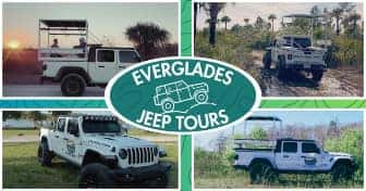 White Jeep Wrangler 2024 Everglades Tours