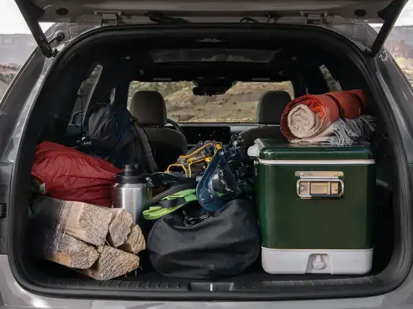 Sorento Hybrid Trunk