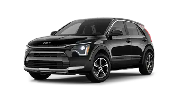 206 niro jellybean