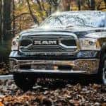 ram