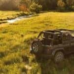 wrangler by the water
