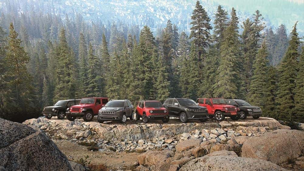 Jeep Line Up