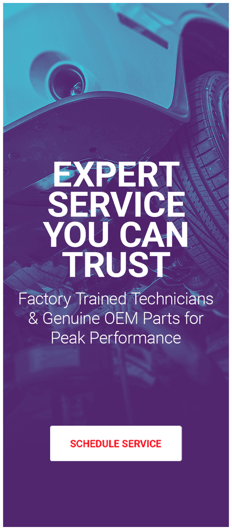 Expert Service You Can Trust