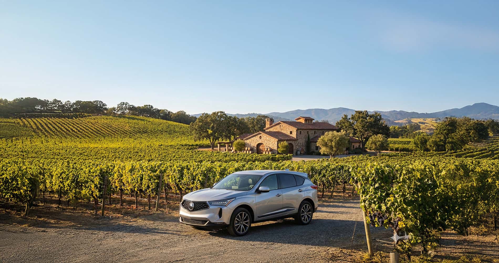 2026 Acura RDX parked in a famous Nappy Valley winery setting