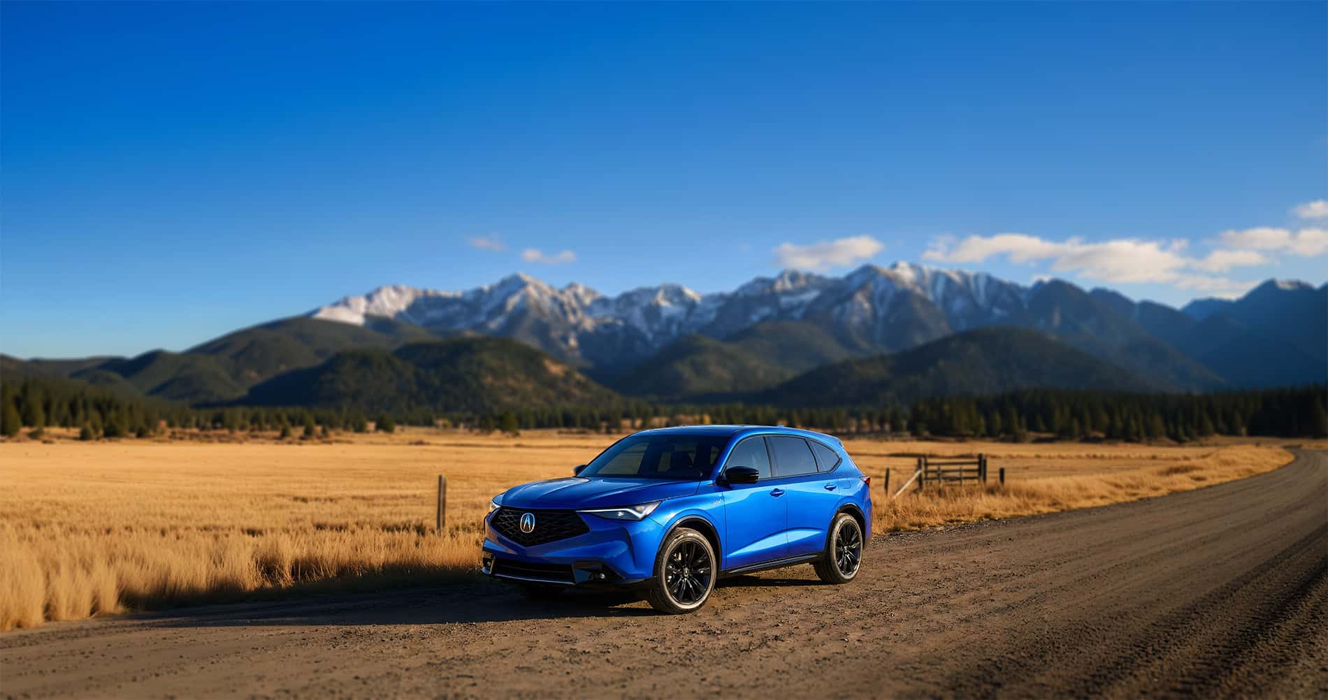 2026 Acura ADX Trim Levels Explained : Features, Pricing & Differences