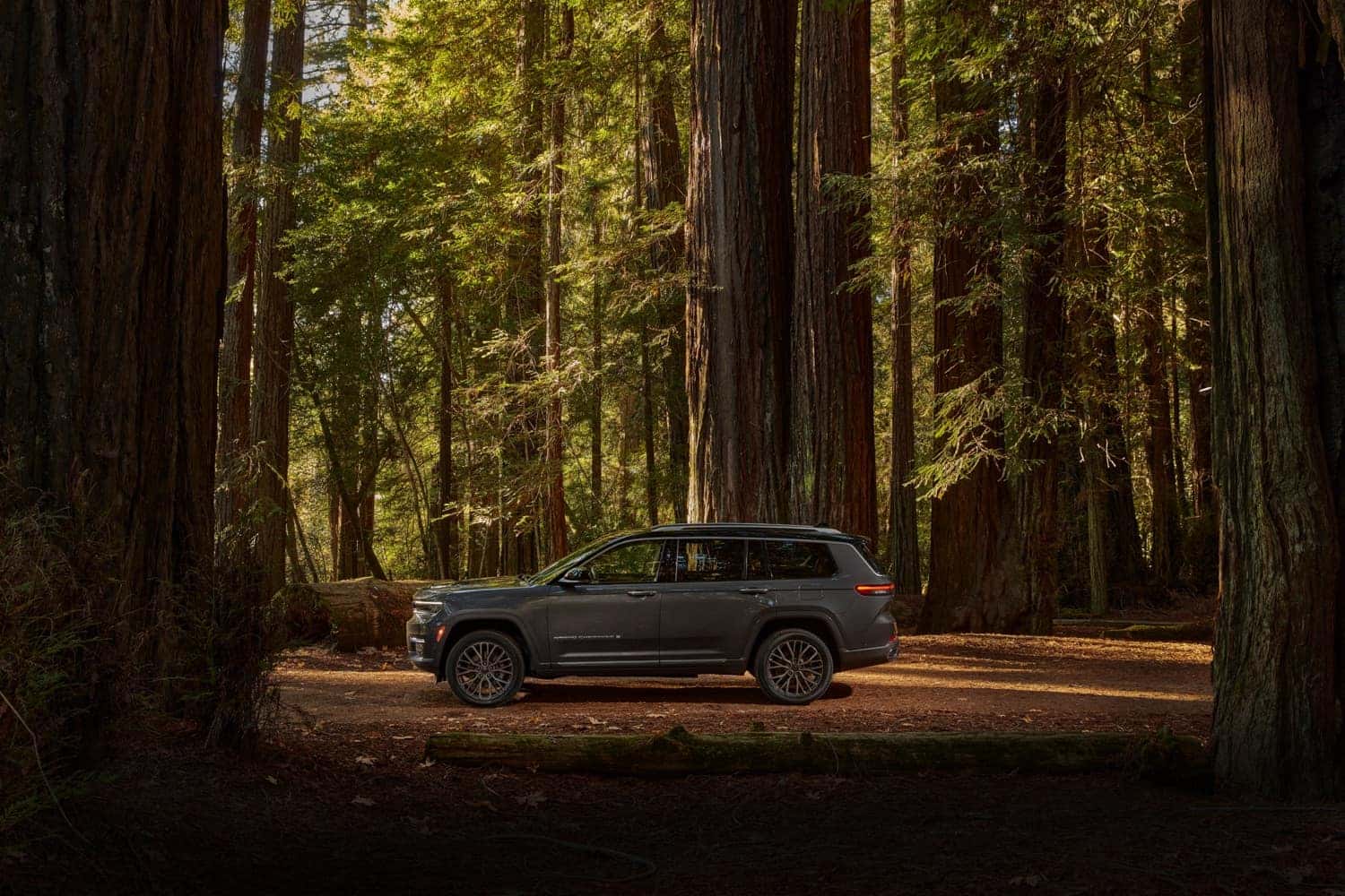 2024 Jeep Grand Cherokee & 4xe