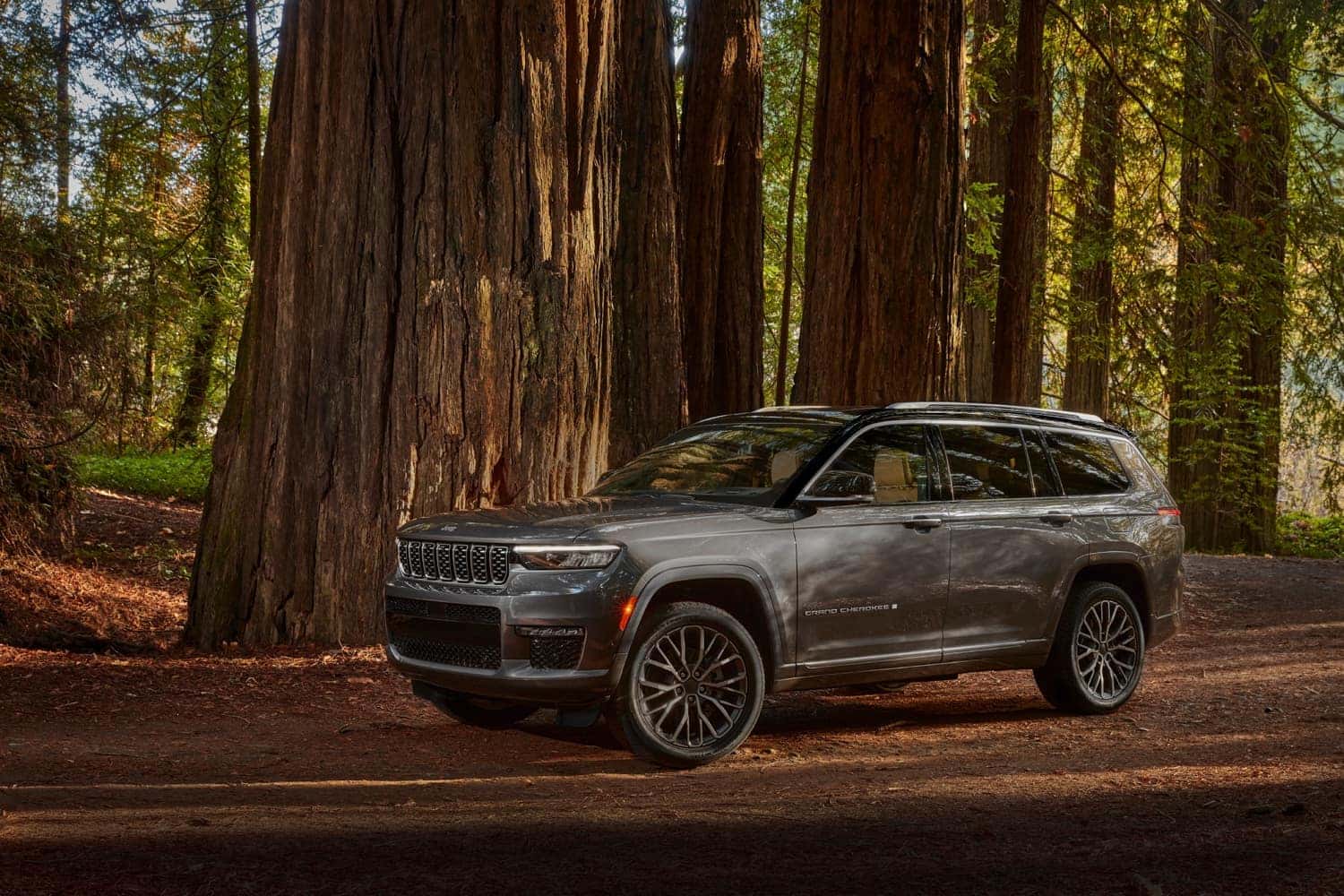 2024 Jeep Grand Cherokee & 4xe