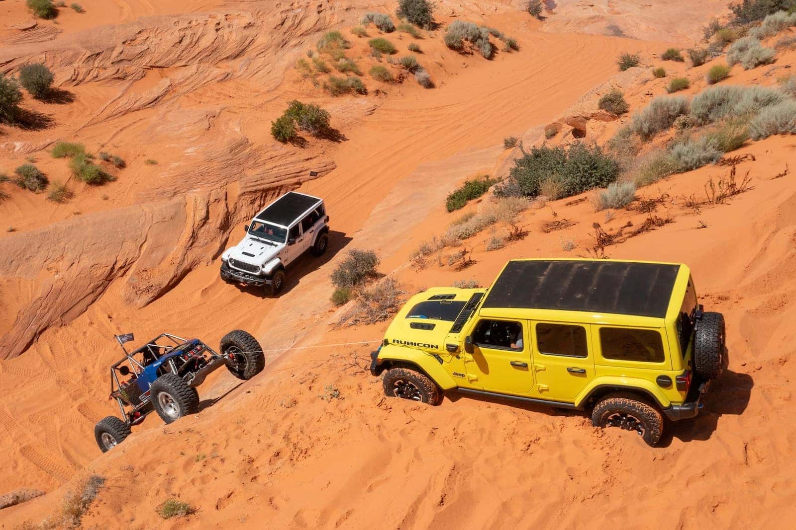 2024 Jeep Wrangler & 4xe