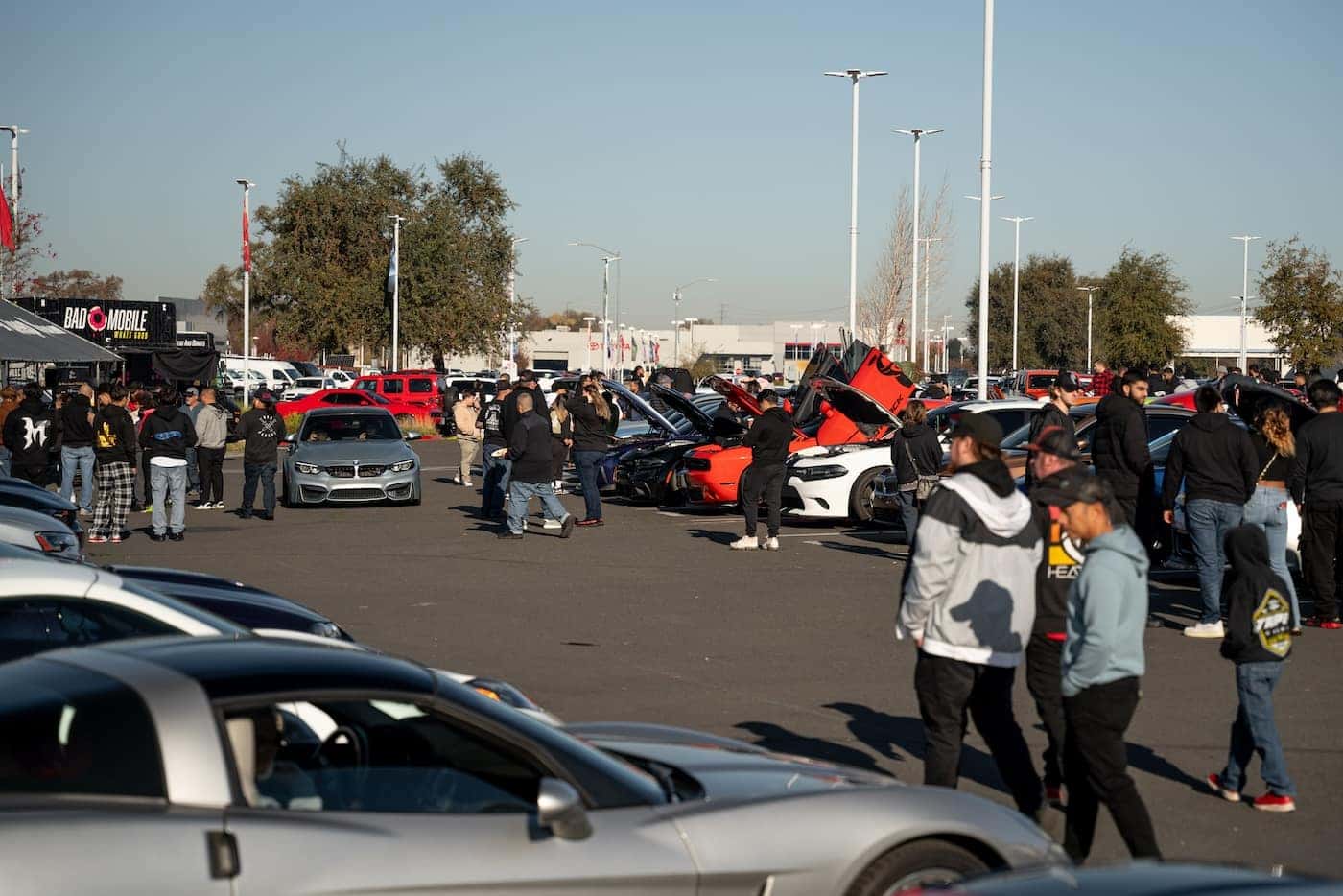 Annual Christmas Toy Drive