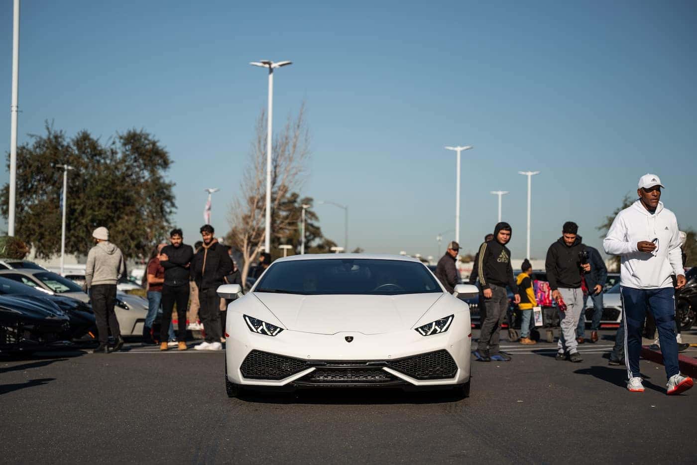 Annual Christmas Toy Drive