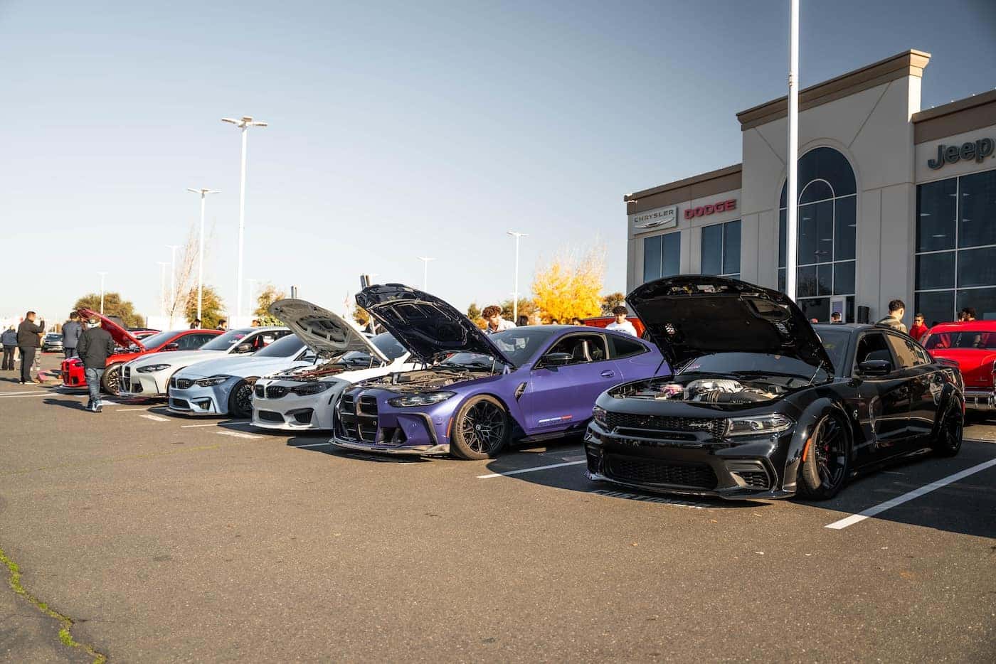 Annual Christmas Toy Drive