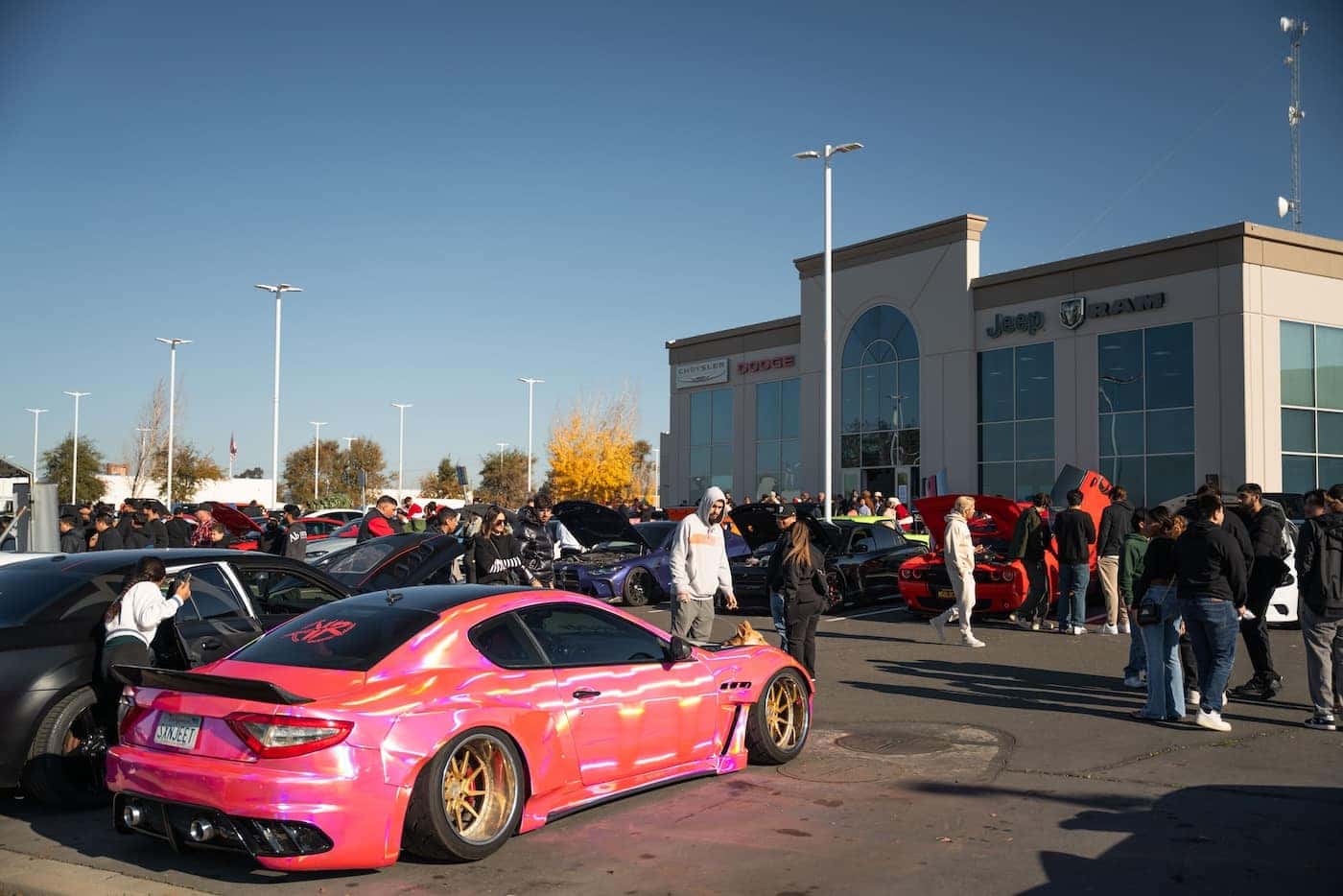 Annual Christmas Toy Drive