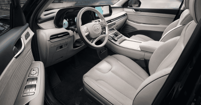 Palisade Interior