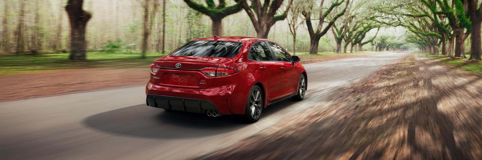 2025 Toyota Corolla vs 2025 Elantra