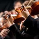 Several violinists are shown as part of a symphony.