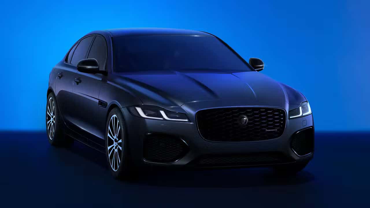 jaguar