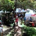Melrose on the Cane Arts and Crafts Festival