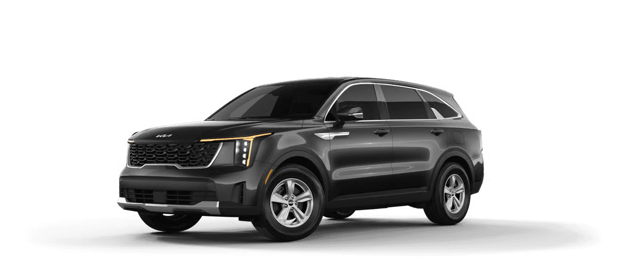 SUV Trim