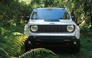 2019 Jeep Cherokee Easter Eggs