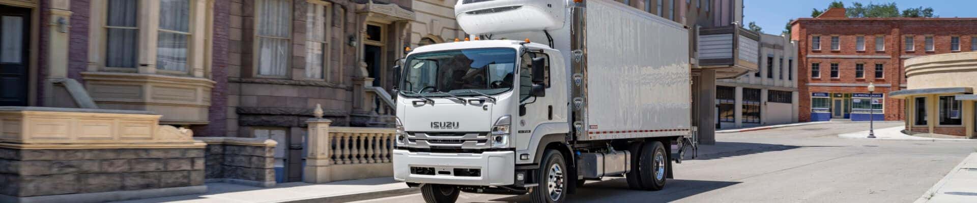 Isuzu catalytic converter cage