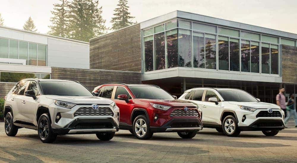 A grey, a red, and a white 2019 Toyota RAV4 are parked in front of a used car dealer building.
