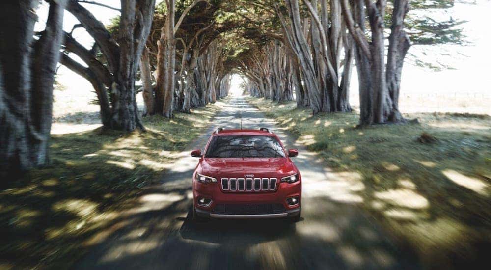 One of the more confusingly named Jeep models, a red 2020 Jeep Cherokee, is shown from the front driving on a tree-lined road.