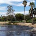 The La Brea tar pits and mammoth are shown.