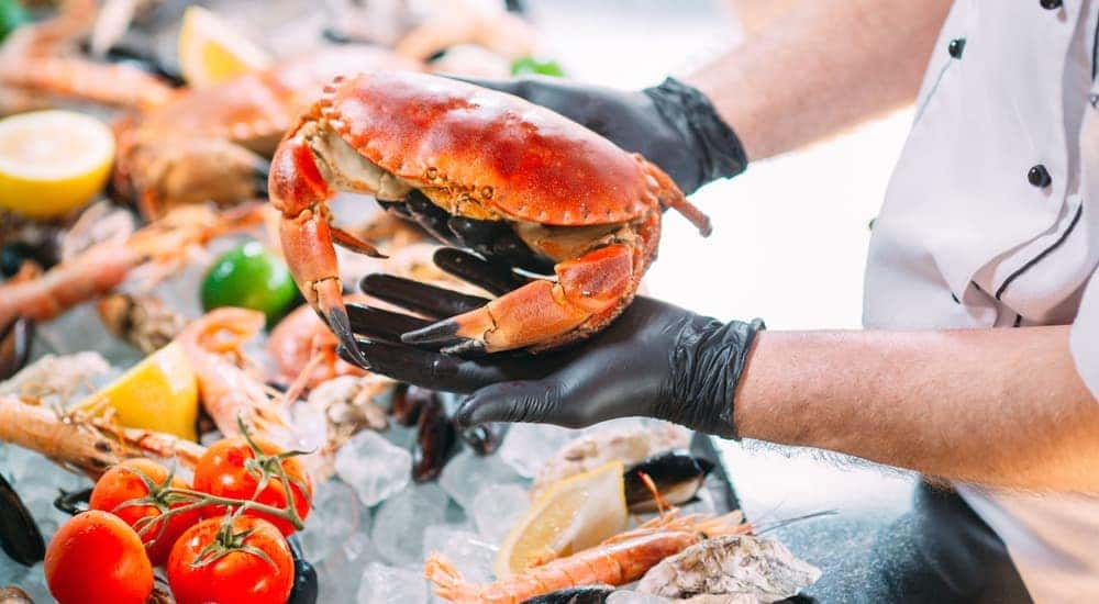 A chef is holding out a crab over other seafood ingredients.