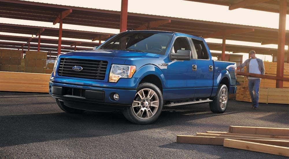 A blue 2014 used Ford F-150 STX is parked in a lumber yard with wood being loaded into the bed.