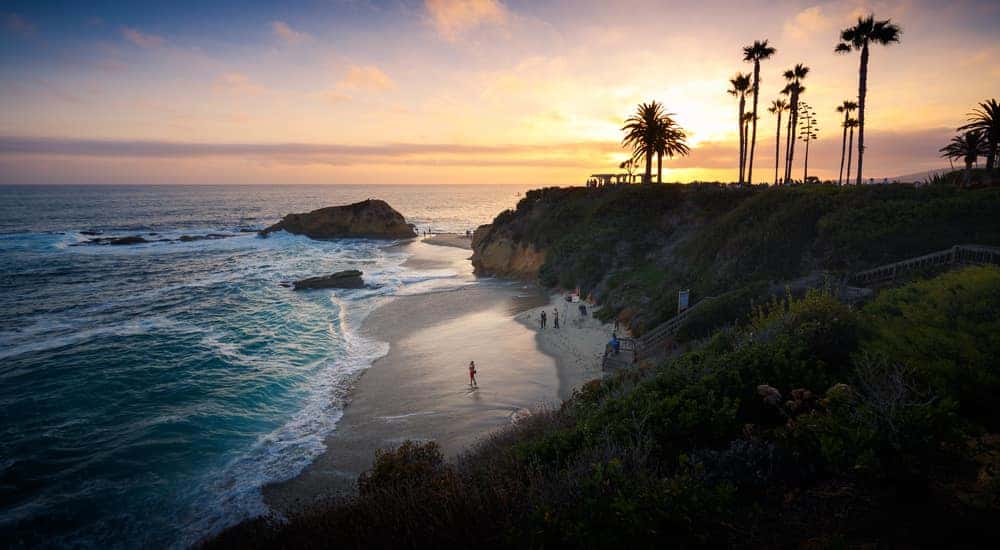 Blue ocean coming up onto shore in front of small, grassy hills and palm trees