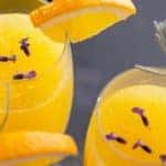 A close up is shown from a high angle of mimosas.