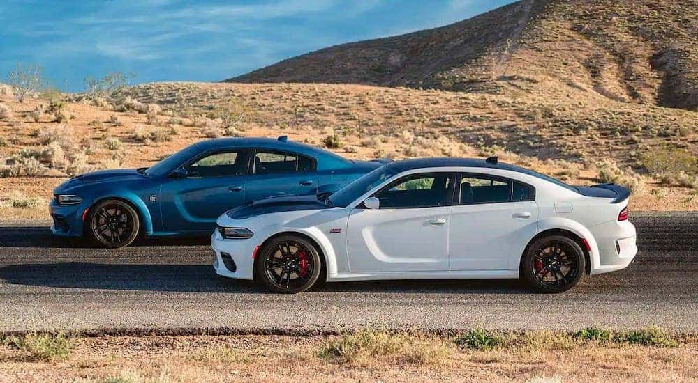 A white and a blue 2018 Dodge Charger are shown from the side driving on a desert highway.