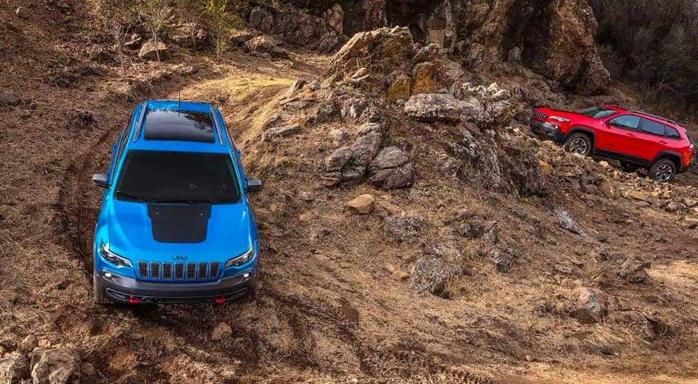 A blue and a red 2019 used Jeep Cherokee Trailhawk are driving on a dirt trail.