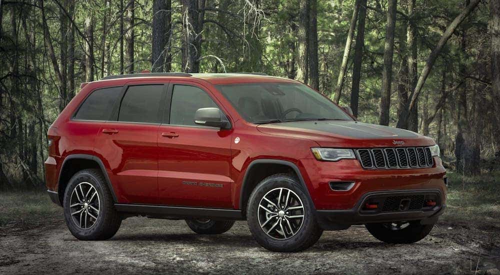 A red 2020 Jeep Grand Cherokee Trailhawk is parked in the woods.
