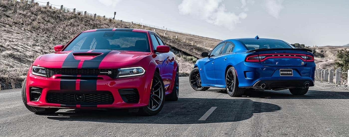 A red and a blue 2021 Dodge Charger are parked facing opposite directions on an empty road.
