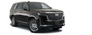 A black 2021 Cadillac Escalade is angled right.