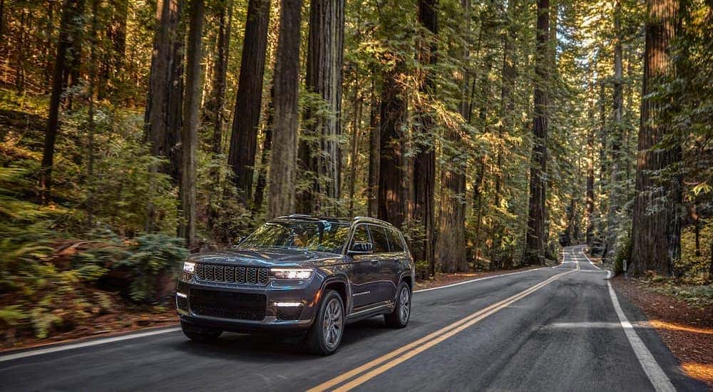 A grey 2022 Jeep Grand Cherokee is shown driving through a forest.