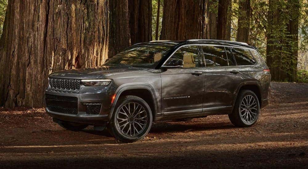 A popular Jeep SUV, a grey 2022 Jeep Grand Cherokee is shown from the side parked in a forest.