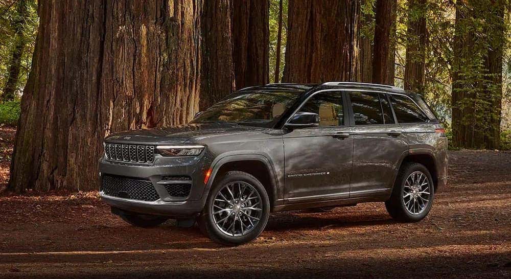 A grey 2022 Jeep Grand Cherokee is shown from the side while parked in the forest after the owner searched 'Grand Cherokee buyers guide'.