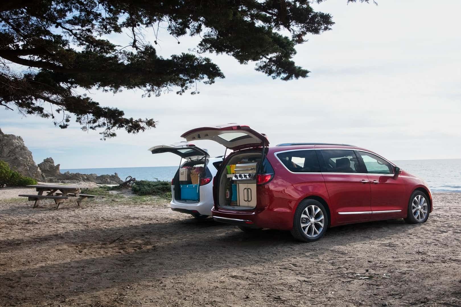 EVs for Sale 