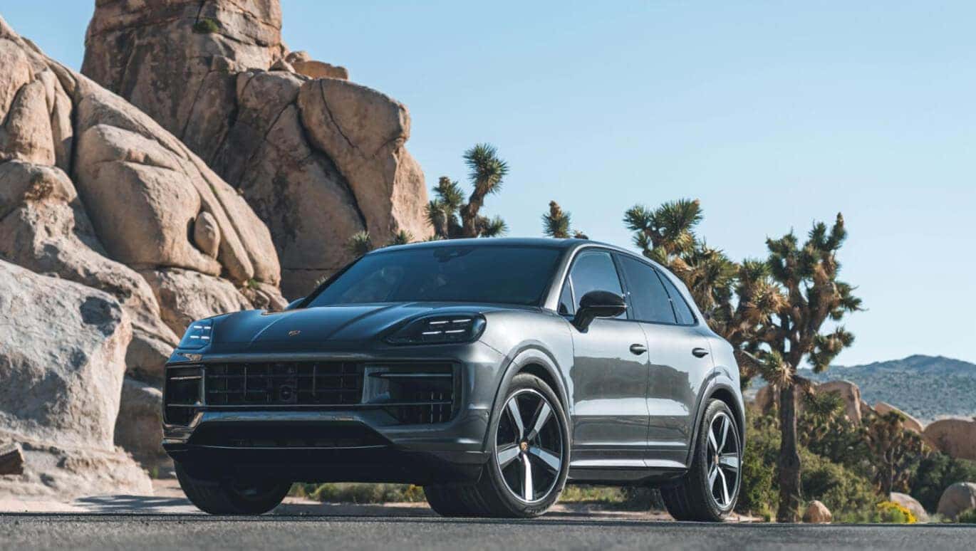 Find Your Cayenne With Us