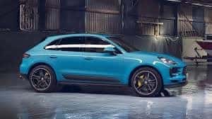 Macan