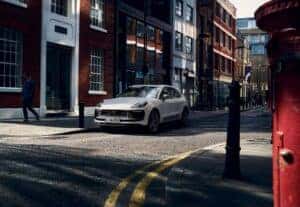 Macan