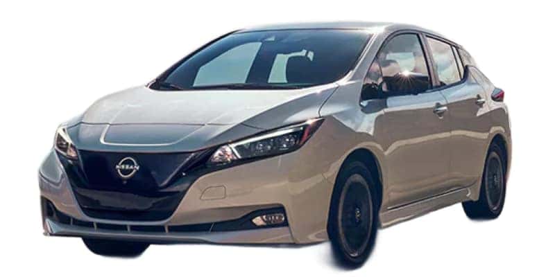 2024-leaf