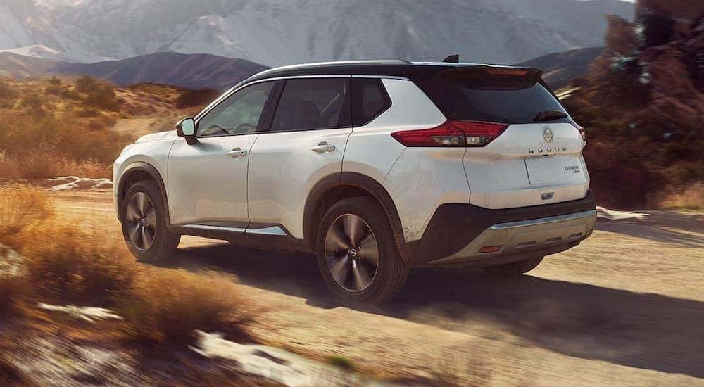 Why the Nissan Rogue Is Perfect for New Brunswick Drivers