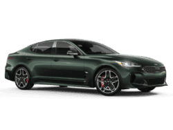 Stinger 2023