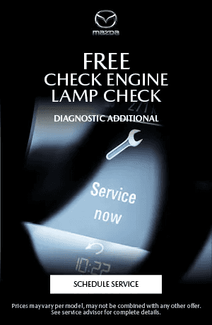 Check engine Lamp