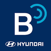 Bluelink